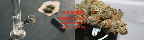 гашик Алексеевка