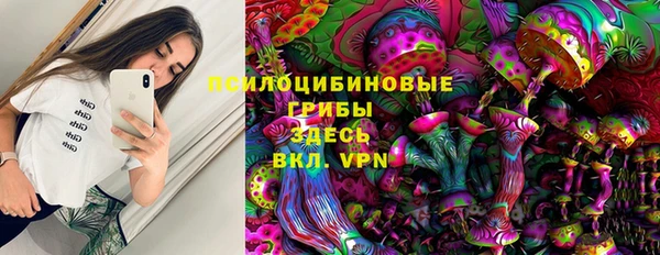 гашик Алексеевка