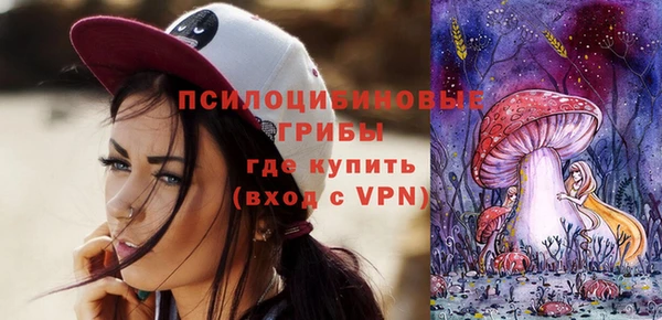 МДПВ Медвежьегорск